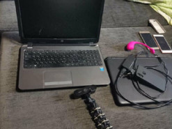 Полицейские обнаружили очередную онлайн-порностудию