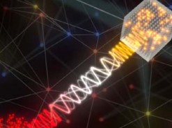 Разработан прототип «гибридного» квантового интернета