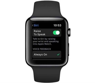 В watchOS 5 появился новый способ вызова Siri