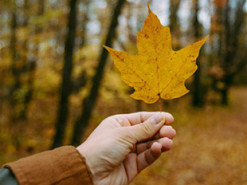 Вдалий час для прогулянок на вулиці: коли в Україні очікується потепління