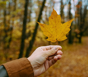 Вдалий час для прогулянок на вулиці: коли в Україні очікується потепління