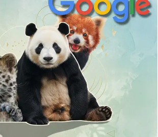 Як Google за допомогою ШІ допомагає зберегти рідкісних тварин