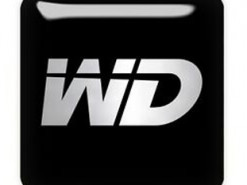 В долгосрочной перспективе Western Digital не исключает использования технологии HAMR