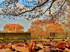 Невдовзі прийдуть дощі: якою буде погода у перші дні листопада