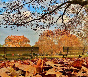 Невдовзі прийдуть дощі: якою буде погода у перші дні листопада