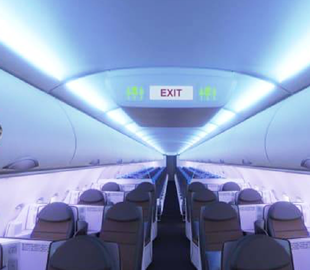 В Кремниевой долине разработали биосенсоры для поиска бомб на авиарейсах