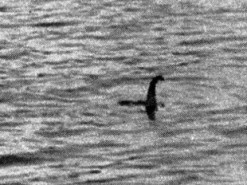 Альтернатива штурму "Зоны 51": тысячи людей собираются искать Лох-несское чудовище