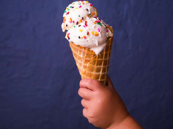 В США хлопчик замовив 51 коробку морозива. Щоб оплатити замовлення, довелося збирати пожертви