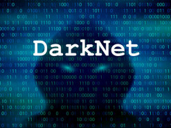 Отчет: 45% предложений взломанного доступа к корпоративным сетям продаются ниже 1 тыс. долларов в даркнете 