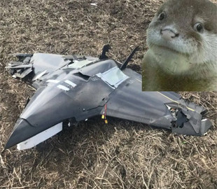 Розкриті технічні характеристики нового українського дрона, що залітає на 500 км вглиб росії