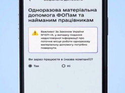 Федоров отчитался об успехах онлайн-регистрации ФОП через Дію