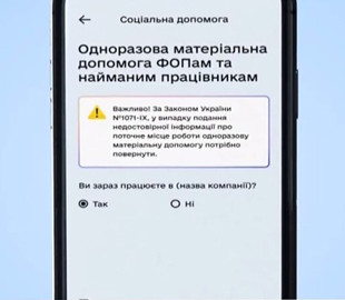 Федоров отчитался об успехах онлайн-регистрации ФОП через Дію