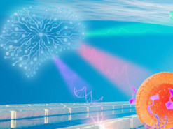 Нанодатчик на основе ИИ научили отслеживать биологические молекулы