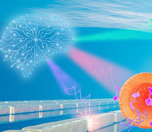 Нанодатчик на основе ИИ научили отслеживать биологические молекулы