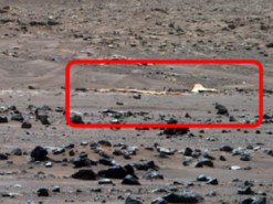 Perseverance нашел в марсианской пустыне свой парашют