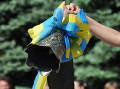 Последний звонок на карантине: как школы будут прощаться с выпускниками