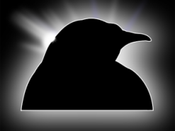 Уязвимость в ядре Linux подвергает опасности web-серверы и устройства на Android