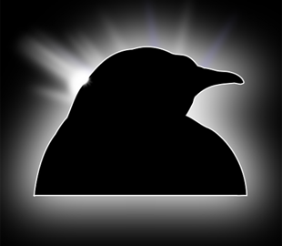 Уязвимость в ядре Linux подвергает опасности web-серверы и устройства на Android