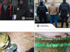Поліцейські затримали трьох наркоторговців: вирощували коноплі, збували канабіс і психотропи через Telegram