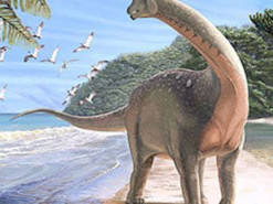 Ученые показали, как выглядит окаменелый пупок динозавра