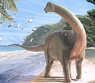 Ученые показали, как выглядит окаменелый пупок динозавра