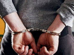 Сербия экстрадировала в США криптомошенника