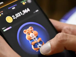 Ім'я творця Hamster Kombat: хто стоїть за грою та чому вона небезпечна для українців