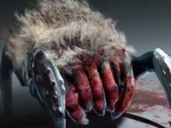 Авторы фанатской версии Half-Life 2: Episode 3 рассказали о своих успехах