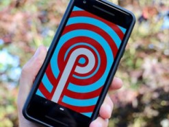 Смартфоны Huawei P20, P20 Pro и P20 Lite обновят до Android 9.0 Pie в начале сентября