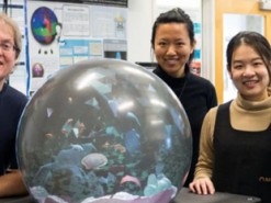 Шарообразный дисплей продемонстрировал новый вид виртуальной реальности