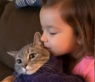 Попавший в плен объятий кот рассмешил интернет несчастным взглядом