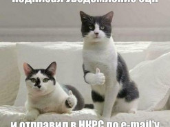 Нацкомиссия демонстрирует технологическую отсталость