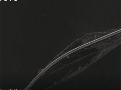 Україна отримає розширений доступ до супутникових даних ICEYE: які переваги