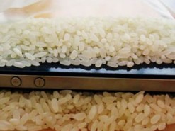 Развенчан один из главных мифов о смартфонах