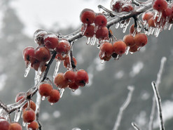 Пікові температури цієї зими: які прогнози метеорологів