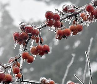 Пікові температури цієї зими: які прогнози метеорологів