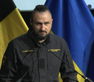 Розробки українського ОПК починають працювати в тилу ворога, — Камишін