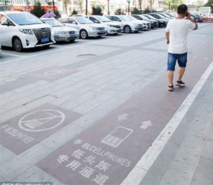 В Китае появилась специальная тропинка для людей, уставившихся в смартфоны