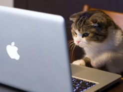 Девушка купила кроссовки в интернете, а когда открыла посылку чуть не умерла со смеху