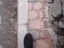 В окупованій Ялті з'явився тротуар для дуже худих пішоходів