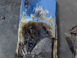 Смартфон Redmi Note 7S воспламенился и сгорел