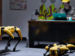 Первые робопсы начали работать: охранником на автозаводе и оценщиком в страховой фирме