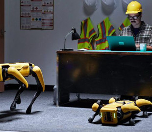 Первые робопсы начали работать: охранником на автозаводе и оценщиком в страховой фирме