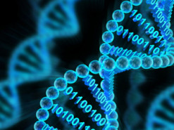 Western Digital и Microsoft будут развивать системы хранения данных на ДНК