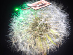 Легче пушинки: инженеры создали первый в истории сверхмощный микроаккумулятор