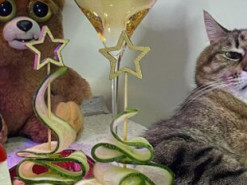 «Жизнь удалась!»: Как встретил Новый год самый знаменитый кот Украины Степан (фото)