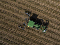 Приложение для смартфона поможет при сборе арахиса