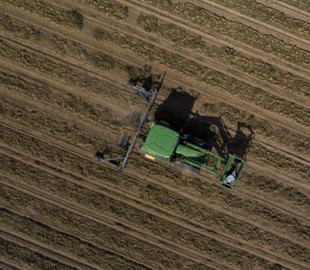 Приложение для смартфона поможет при сборе арахиса