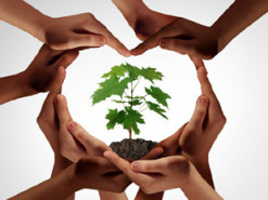 Окружающая среда в смартфоне: куда жаловаться на экологические преступления в Украине