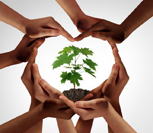 Окружающая среда в смартфоне: куда жаловаться на экологические преступления в Украине